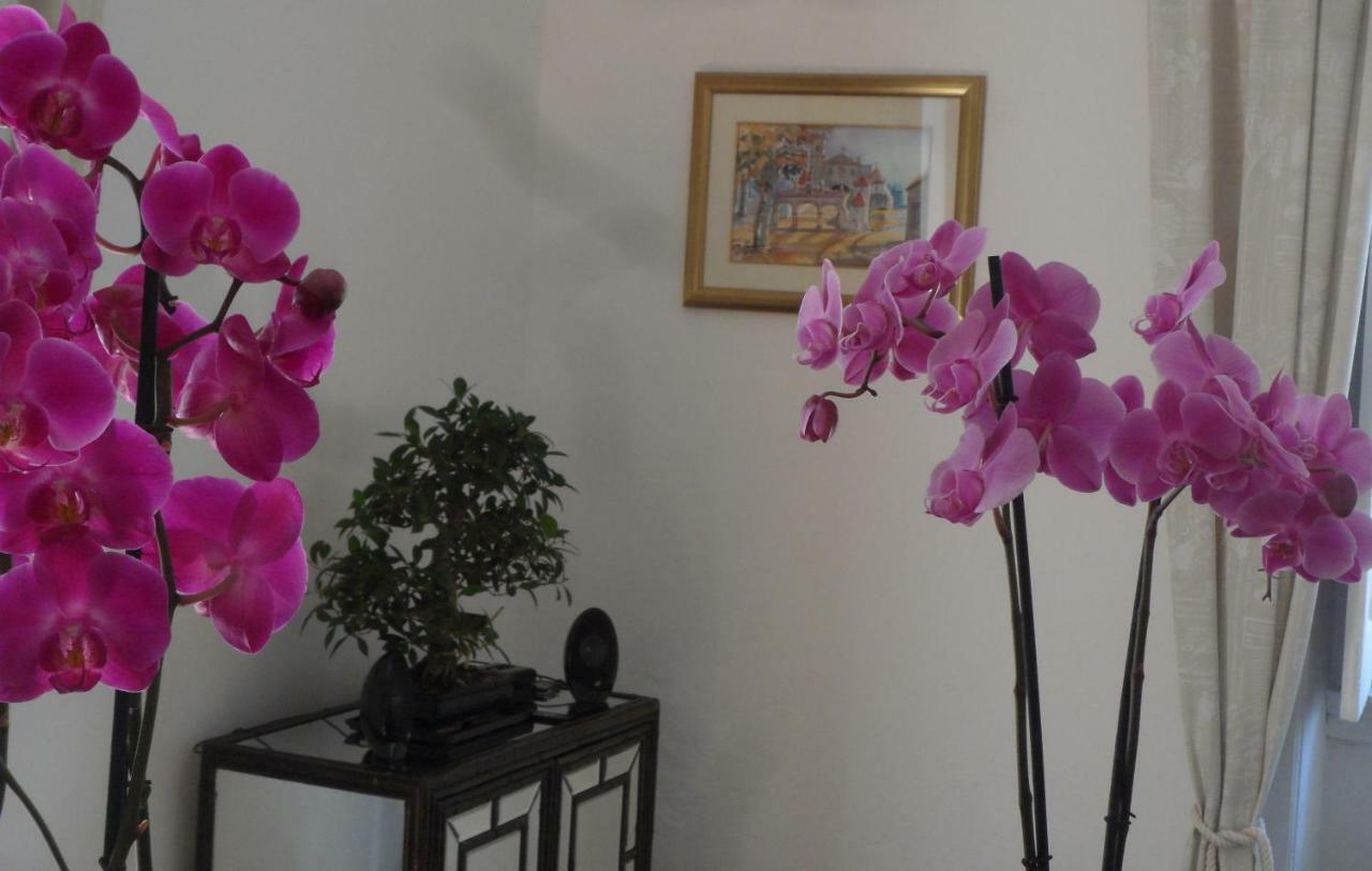 Hotel Casa Coimbra Zewnętrze zdjęcie