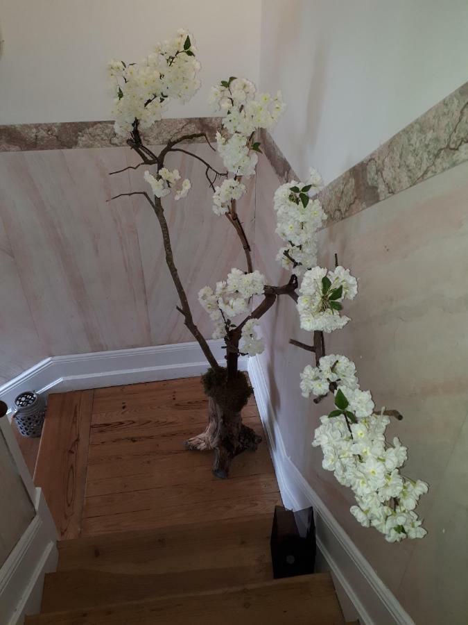 Hotel Casa Coimbra Zewnętrze zdjęcie